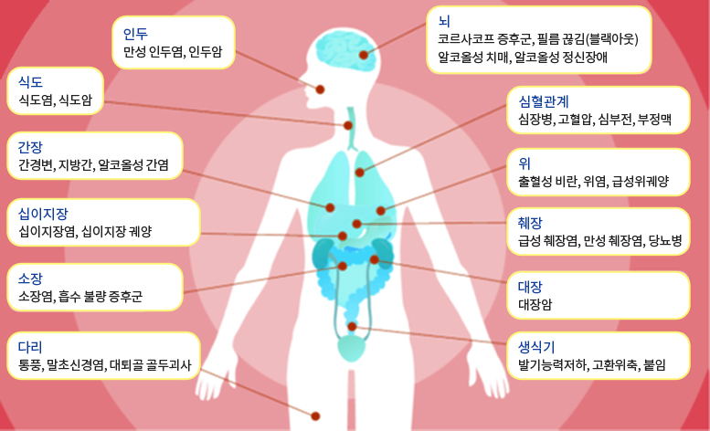 술이 신체에 미치는 영향 : [ 인두- 만성 인두염, 인두암 ], [ 뇌- 코르사코프 증후군, 필름 끊김(블랙아웃)  알코올성 치매, 알코올성 정신장애], [식도- 식도염, 식도암 ]. [ 간장- 간경변, 지방간, 알코올성 간염 ],[ 십이지장- 십이지장염, 십이지장 궤양],[ 소장- 소장염, 흡수 불량 증후군 ],[ 다리- 통풍, 말초신경염, 대퇴골 골두괴사 ],[심혈관계- 심장병, 고혈압, 심부전, 부정맥 ],[ 위- 출혈성 비란, 위염, 급성위궤양 ],[ 췌장-  급성 췌장염, 만성 췌장염, 당뇨병 ],[대장- 대장암 ],[ 생식기-  발기능력저하, 고환위축, 붙임 ]     